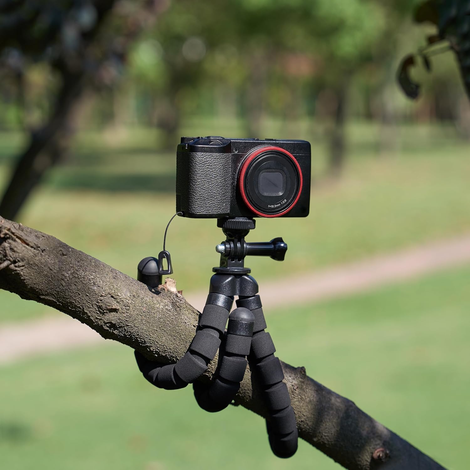 HDRGK Portable and Flexible Tripod with Wireless Remote and Smartphone Clamp, 10-inch, Black